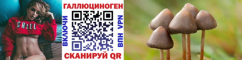 Купить  Зеленодольск  Галлюциногенные грибы Magic Shrooms 